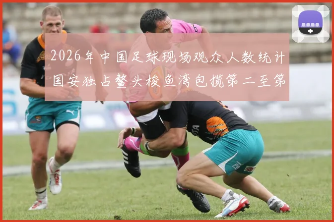2026年中国足球现场观众人数统计国安独占鳌头梭鱼湾包揽第二至第七位